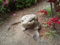 Japanese stone figurine frogÃ£â¬â¬